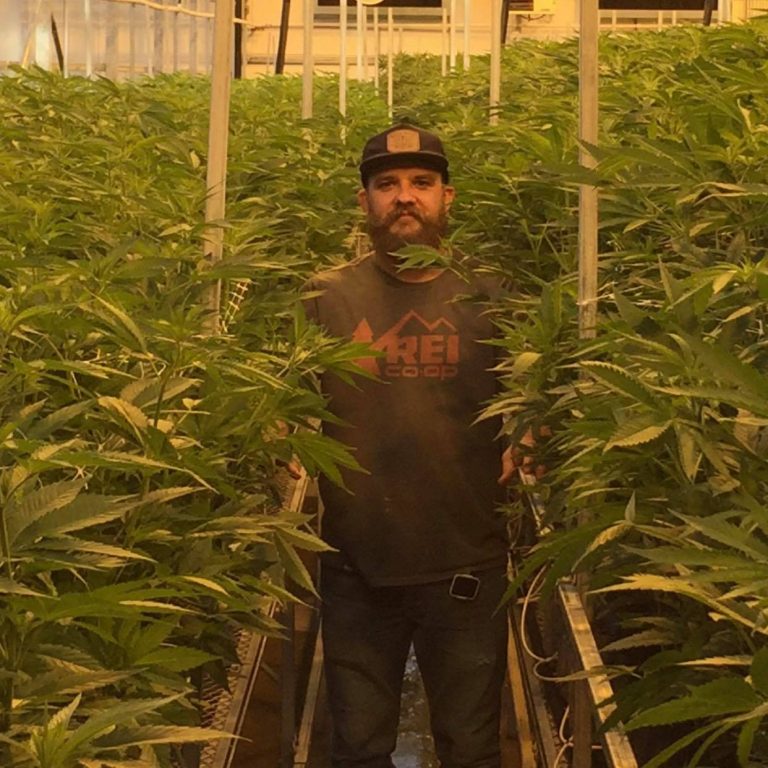 METRC Montana Stay Up To Date With Compliance FolioGrow