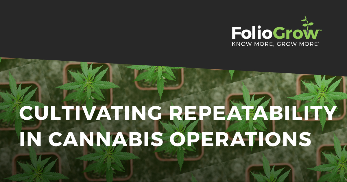 Cultivating Repeatability In Cannabis Operations FolioGrow