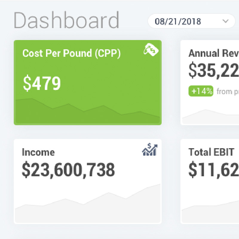 Real Time ROIs Dashboard for Stakeholders