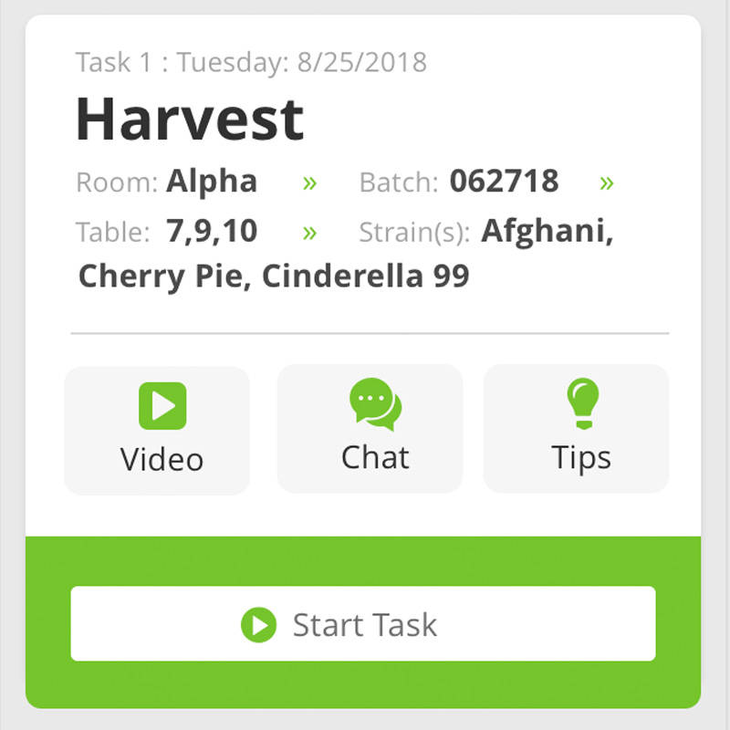 track daily tasks with cannabis cultivation software for team members