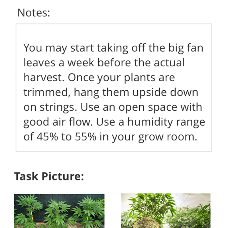 cannabis cultivation software for team members lets you create strain-specific notes