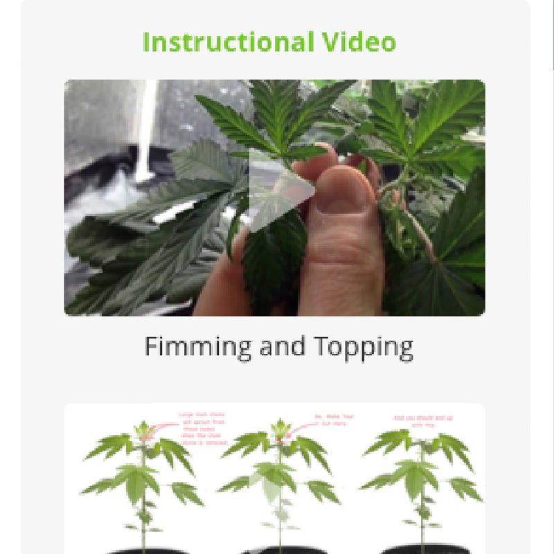 Just-In-Time training for team members in our cannabis cultivation software